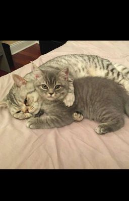 Лучшие друзья.