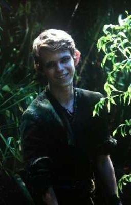 Пленица острова