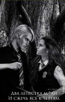 Два лепистка моли. И сжечь всё к чертям