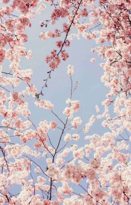 Моя волшебная мышь 