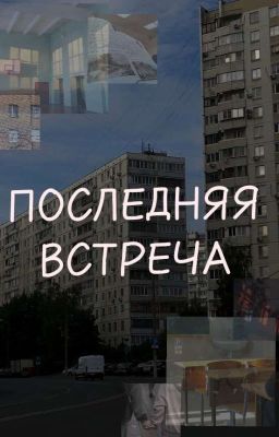 Последняя встреча (основано на реальных событиях)