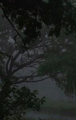 Спасённые души