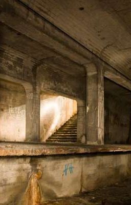 Нелюдимые катакомбы