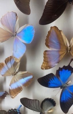 История Эммы✌️