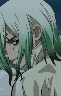 Каменный Мир 