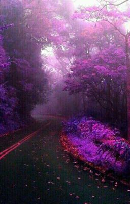 раз и навсегда