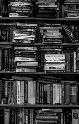 Поток авторских мыслей 