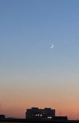 Любовь приносит боль🍃