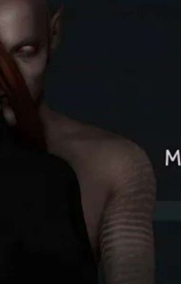 Мы всегда будем вместе