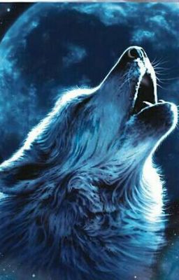 История Волка. 