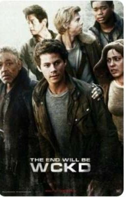 Бегущий в лабиринте.Приключение друзей. 