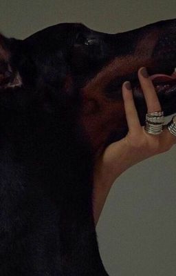 счастье...а может быть и нет