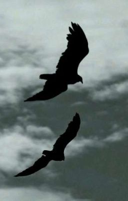 Белая сова/Чёрный ворон. Судьба благосклонна не ко всем...