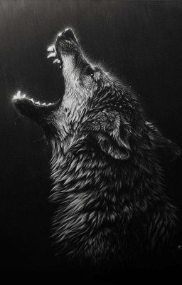 Волк одиночка