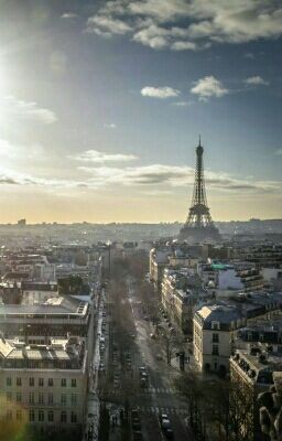 Тёмная Ночь