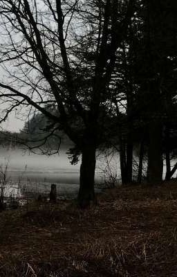 У мёртвого озера