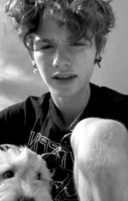 мой папочка