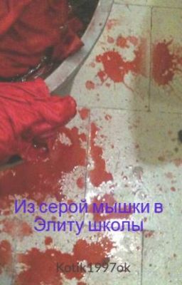 Из серой мышки в Элиту школы