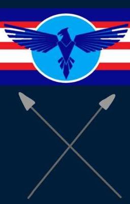 Максим Дубцов: Американская Федерация наносить ответный удар.