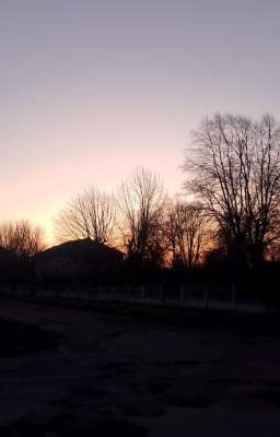 Черная фантазия 