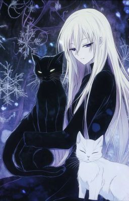 Тайный легион кошачьего Бога