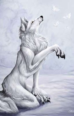 Легенда о белом оборотне.