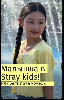 Малышка в Stray kids! (Или беги пока можешь)