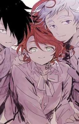 Один за всех