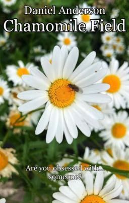 «Ромашковое Поле»