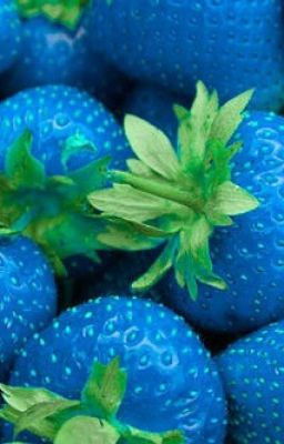 Моя непростая жизнь.