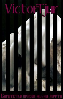 Богатство красок жизни лифта