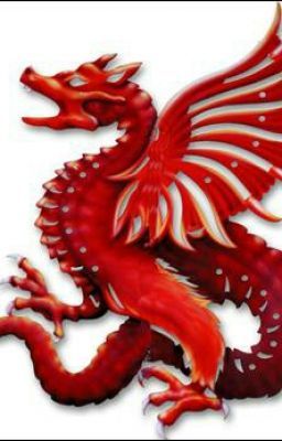 Сын Бога Дракона.