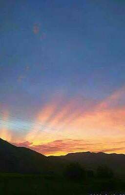 Тайна Семьи Вэдвуд {Находится В Разработке}