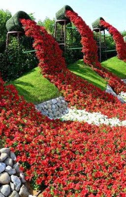 Дорама "Чудо из цветка". 