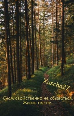 Снам свойственно не сбываться. Жизнь после.