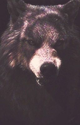 Хизувей. Город оборотней