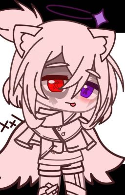 Приключения Автора