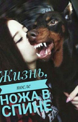 Жизнь, после ножа в спине