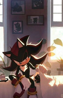 Шэдоу и маленькое бедствие. 