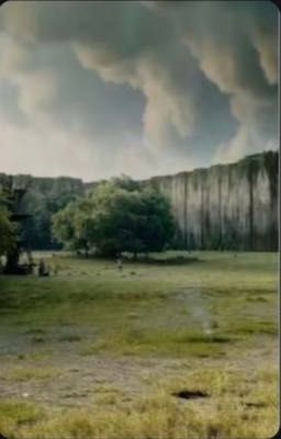 Ньют и его Солнышко 