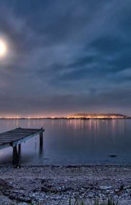 Романтика на пристани