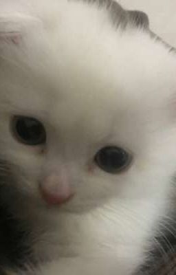 литература.