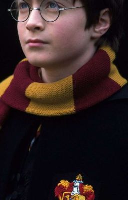 Сестра Гарри "Два Поттера?!