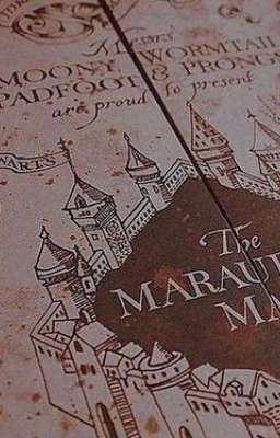 Пятый мародёр