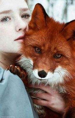 Однажды в Северной Скандинавии...