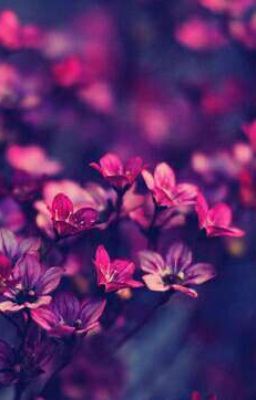 Моя любимая пара