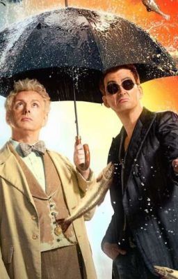 Новое задание