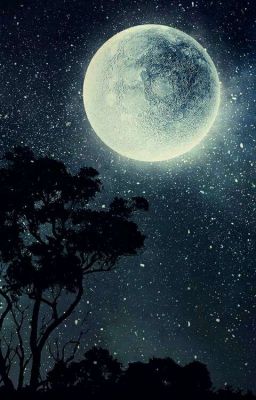 Вампир Обротень