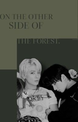 on the other side of the forest.