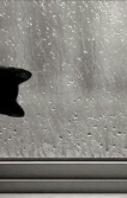 Жизнь После Смерти